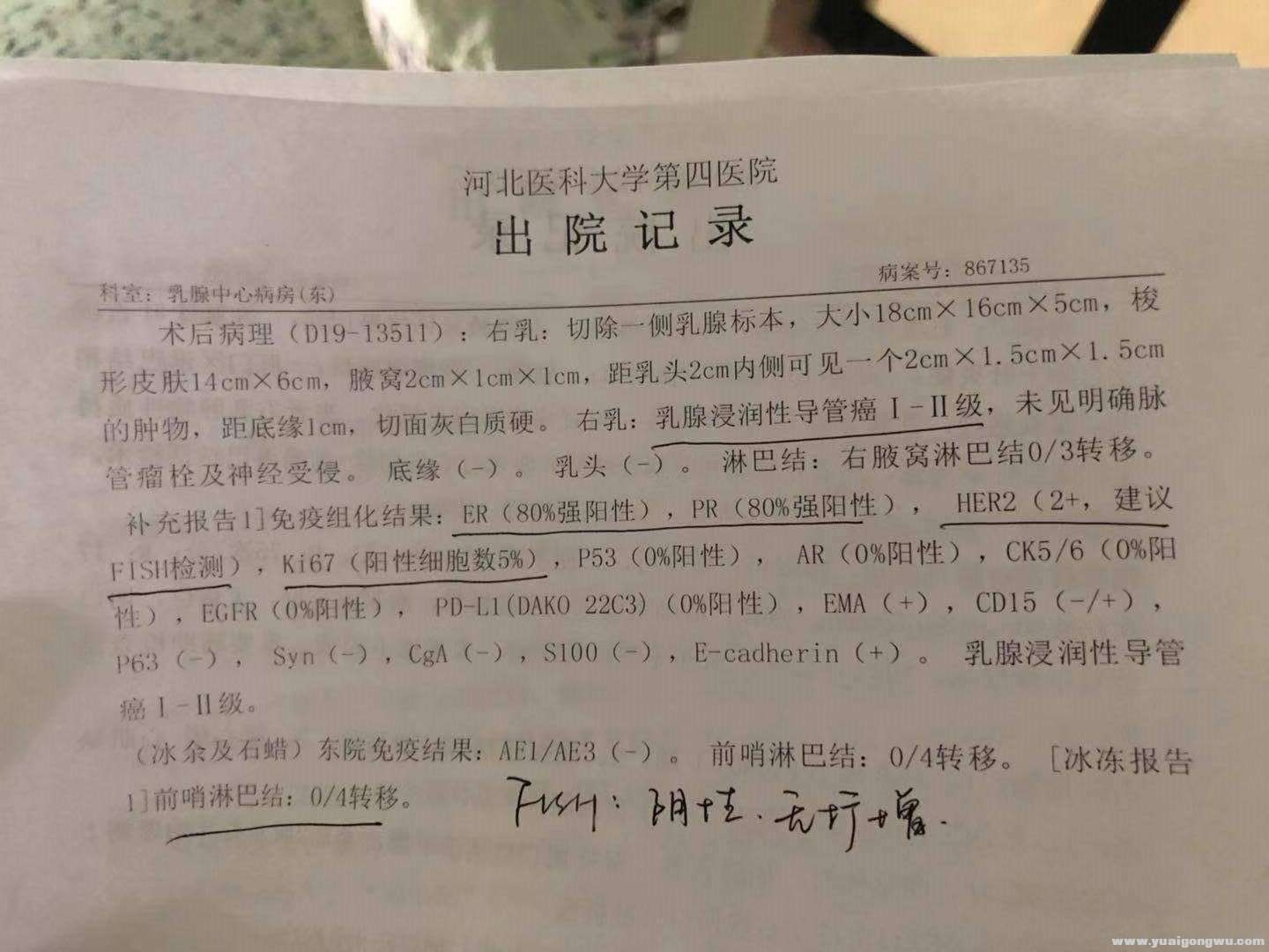 出院报告