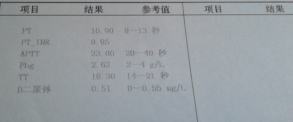 盲试特一个月后的报告