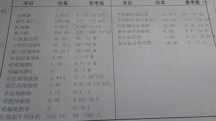 盲试特一个月后的报告