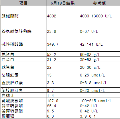 2013.06.19肝功.png