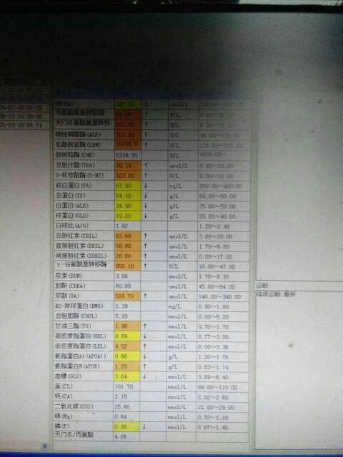204033wvs6vj3zhsvz30ee.jpg