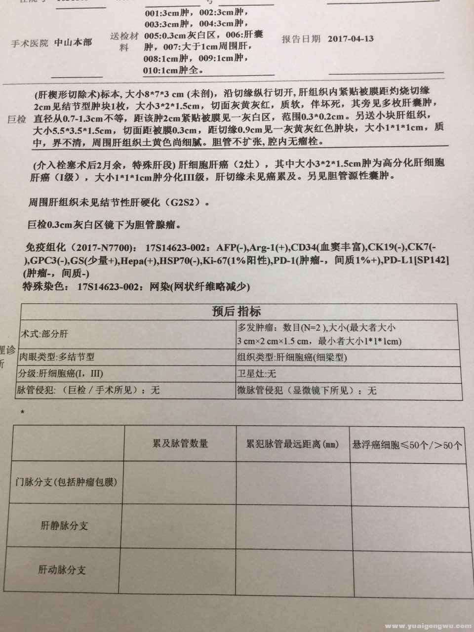 病理1