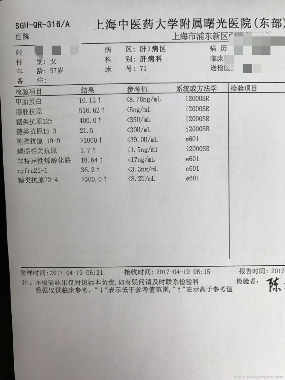 4-19肿标