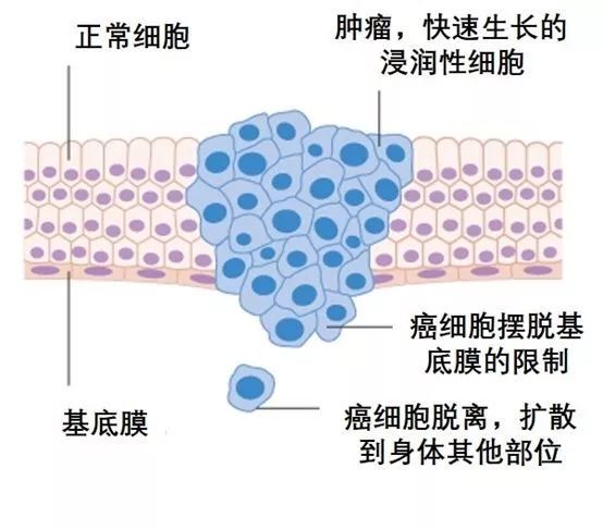 怎么转移的3.jpg